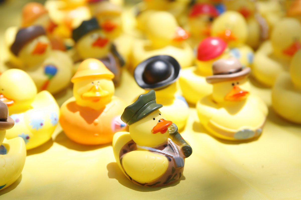 Charleston Duck Race rubber duckies